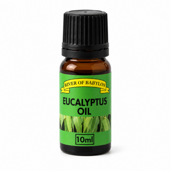 River of Babylon Eucalyptus Oil 10ml